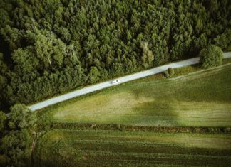 Roadtrip przez Szwecję śladami wikingów: Birka, Gamla Uppsala i historyczne skanseny nad jeziorem Mälaren Biały samochód na leśnej drodze w Szwecji widziany z drona
